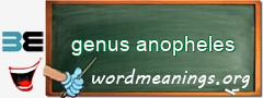 WordMeaning blackboard for genus anopheles